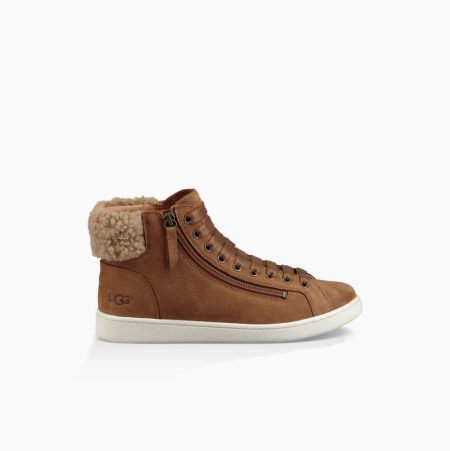 UGG Olive Brown Sneakers for Women (BJZE27651)